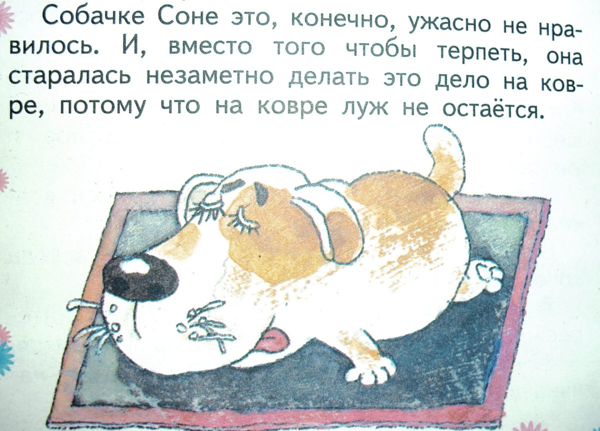 Умная собачка Соня Автор