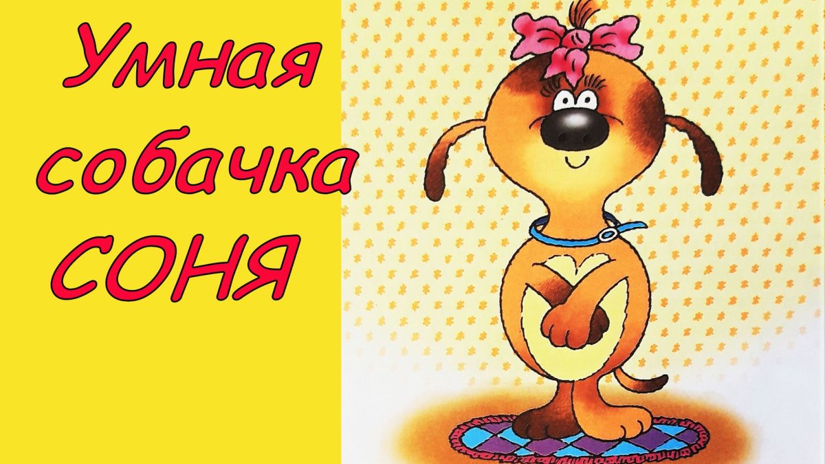 Умная собачка Соня или правила хорошего тона