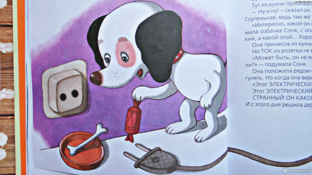 Усачёв, Андрей Алексеевич. Умная и знаменитая собачка Соня