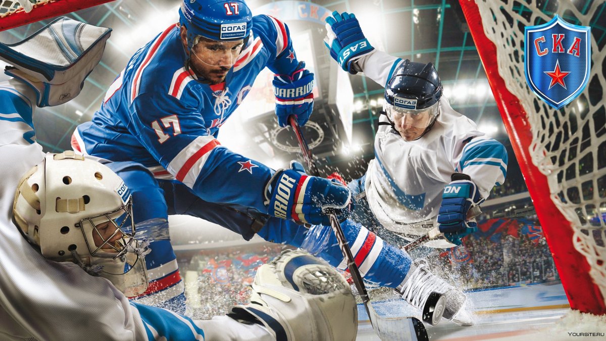 Торпедо Витязь