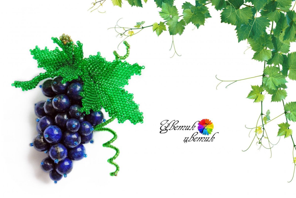 Виноградник рисунок