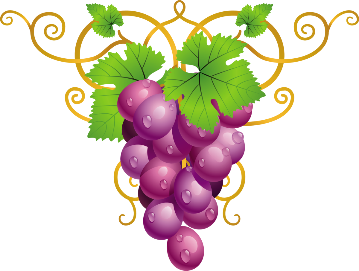 Виноград стилизация