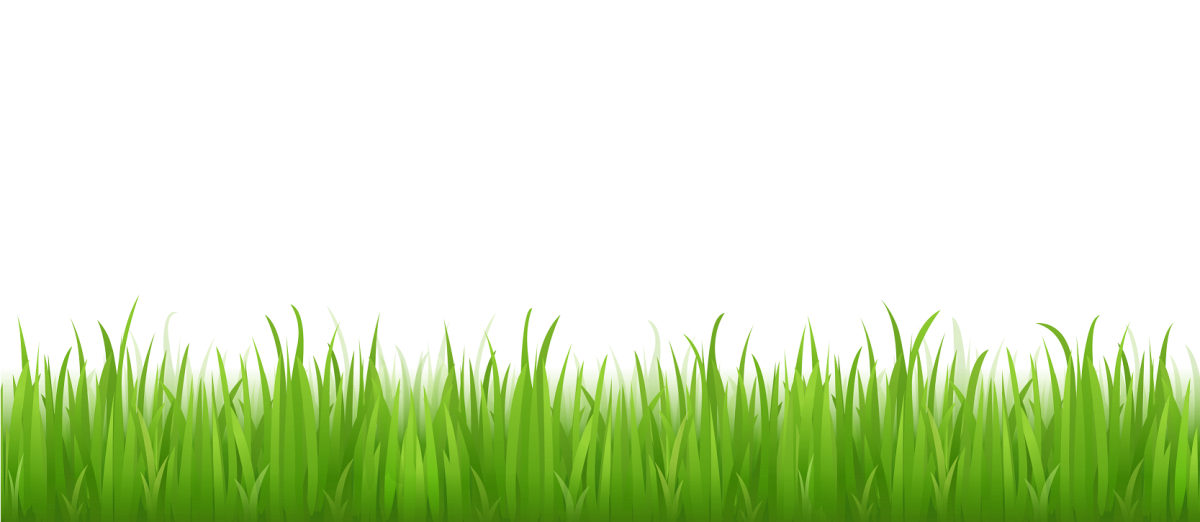 Травка внизу страницы