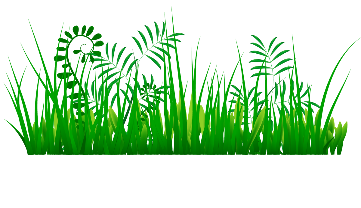 Травка на прозрачном фоне