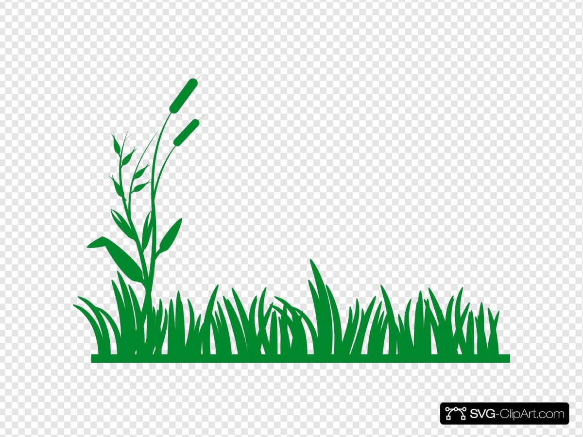 Трава контур