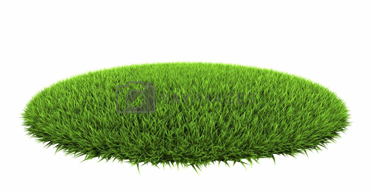 Круг из газона