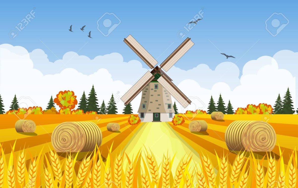 Сено для детей