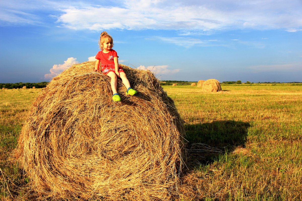 Зарисовки сельской местности
