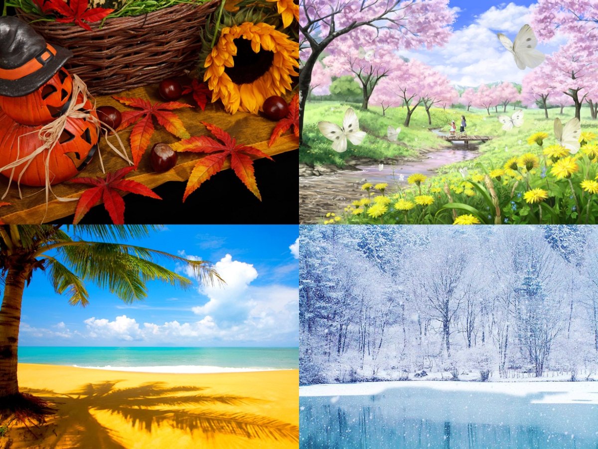 Seasons. Времена года