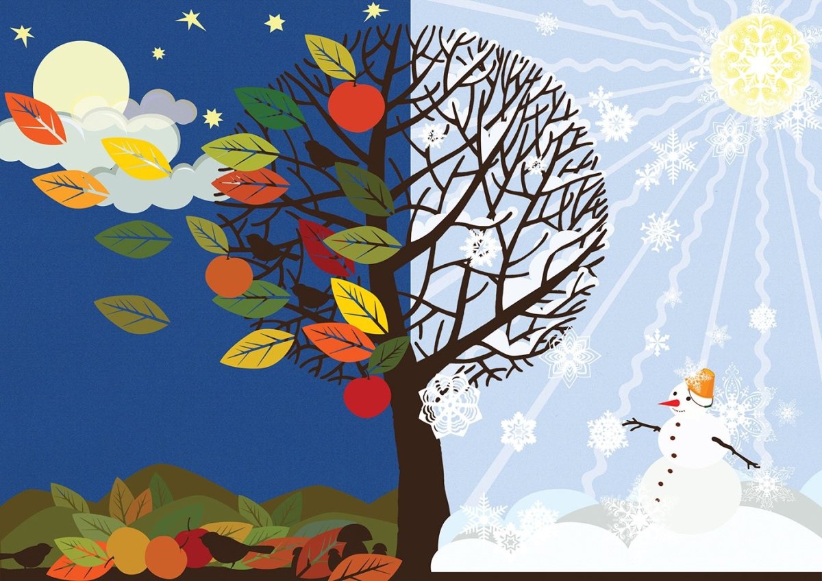 Времена года круг