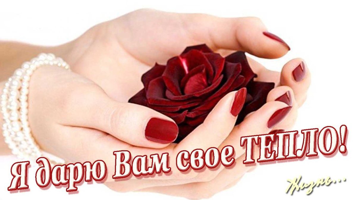 Дарите теплоту и доброту