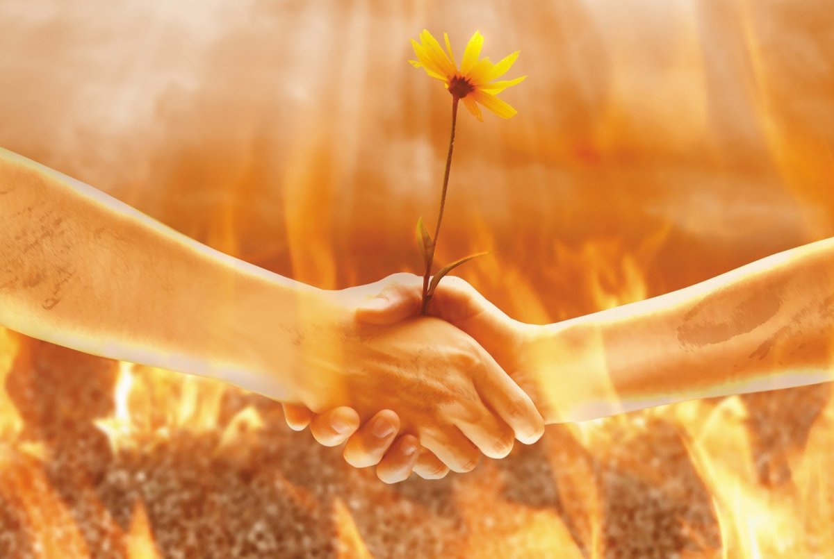 Душевное тепло в руках