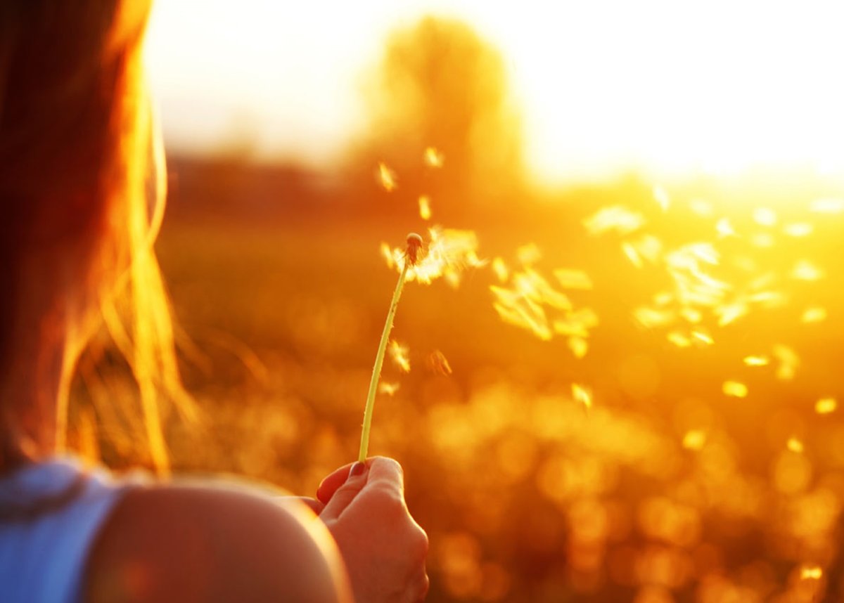 Цитаты про огонь