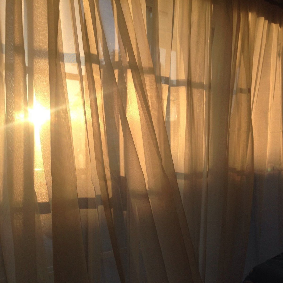 Солнце зимой