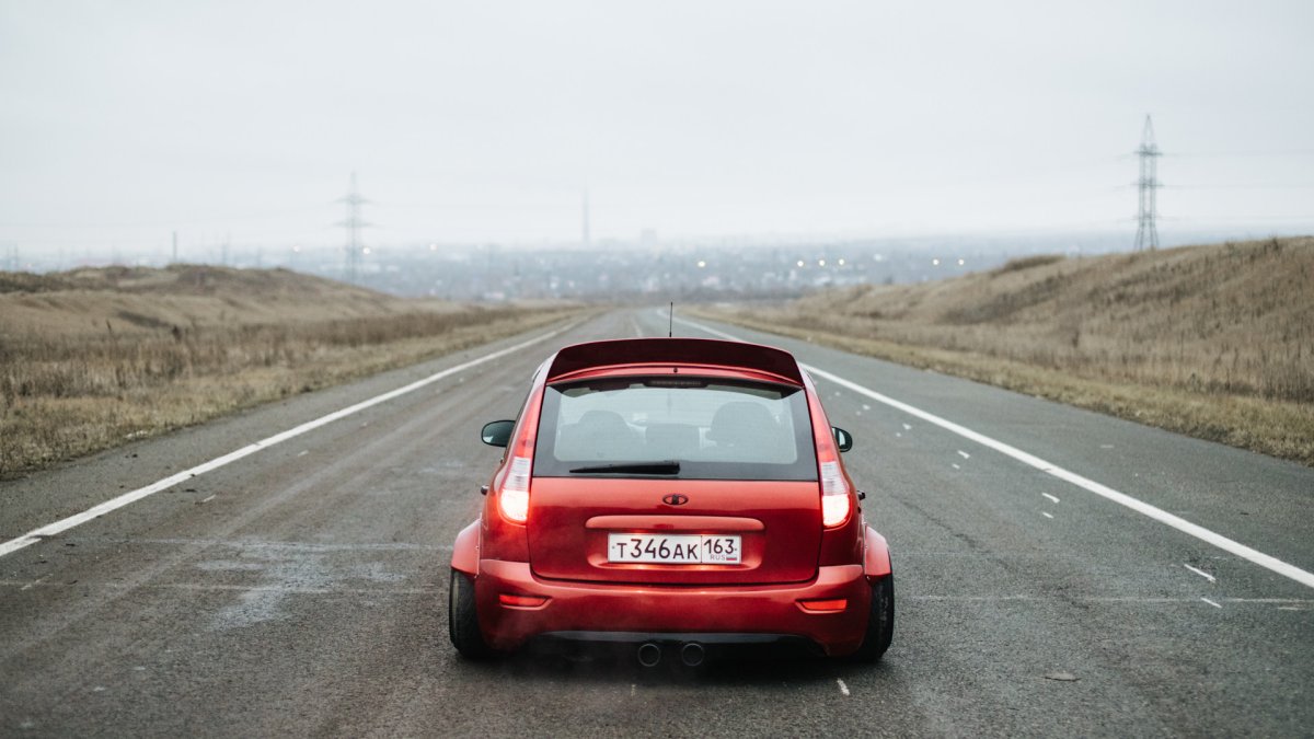 Девушка с калиной